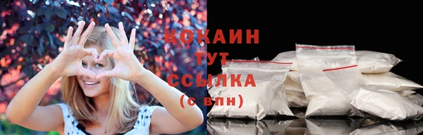 spice Алзамай