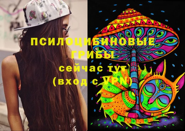 ECSTASY Алексин