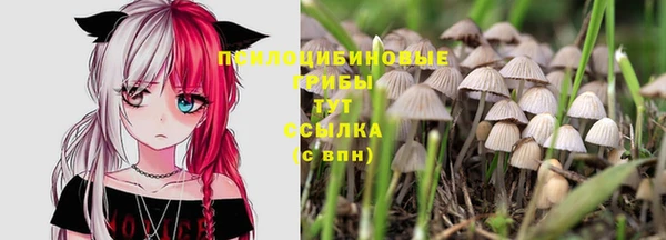spice Алзамай